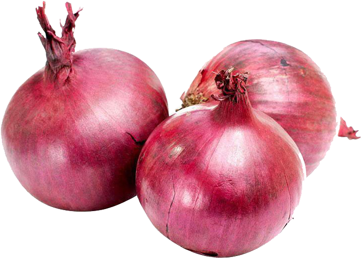 Red Onion Vegetable